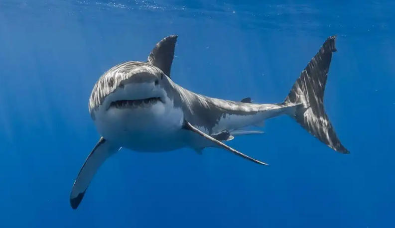 浙江华乐电子有限公司轮播图2